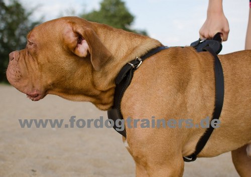 Adjustable Dog Harness for Protection Training | Leather Harness